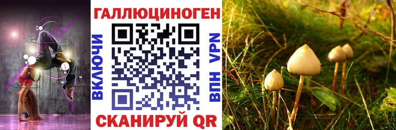 Псилоцибиновые грибы прущие грибы наркотики Лихославль